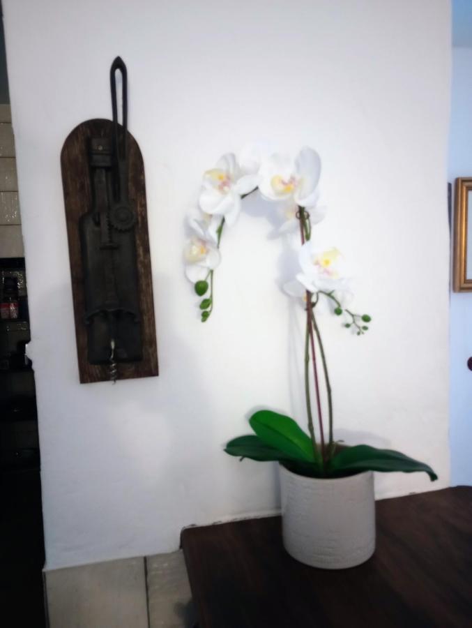 Apartamento Casa Jaruf Centro Historico Parking Gratuito Patio Petfriendly *